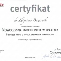 Powiększ obraz: certificate 5