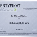 Powiększ obraz: certificate 6