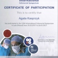 Powiększ obraz: certificate 9