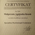Powiększ obraz: certificate 1