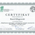 Powiększ obraz: certificate 9