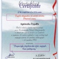Powiększ obraz: certificate 2