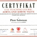 Powiększ obraz: certificate 73