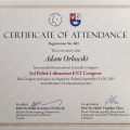 Powiększ obraz: certificate 2