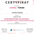 Powiększ obraz: certificate 5