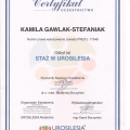 Powiększ obraz: certificate 7