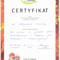 Powiększ obraz: certificate 13