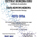 Powiększ obraz: certificate 11