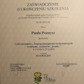 Powiększ obraz: certificate 12