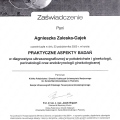Powiększ obraz: certificate 6