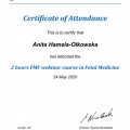 Powiększ obraz: certificate 29