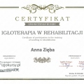 Powiększ obraz: certificate 6