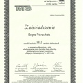 Powiększ obraz: certificate 44