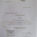 Powiększ obraz: certificate 6