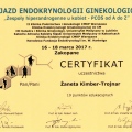 Powiększ obraz: certificate 4
