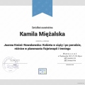 Powiększ obraz: certificate 3
