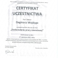Powiększ obraz: certificate 6