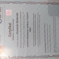 Powiększ obraz: certificate 6