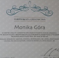 Powiększ obraz: certificate 11