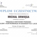 Powiększ obraz: certificate 24