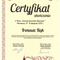 Powiększ obraz: certificate 10