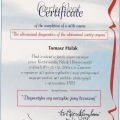 Powiększ obraz: certificate 2