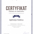 Powiększ obraz: certificate 7