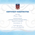 Powiększ obraz: certificate 6