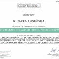 Powiększ obraz: certificate 19
