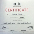Powiększ obraz: certificate 3