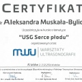 Powiększ obraz: certificate 7