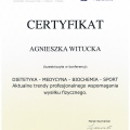 Powiększ obraz: certificate 8