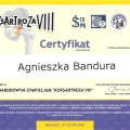 Powiększ obraz: certificate 11
