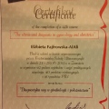 Powiększ obraz: certificate 2
