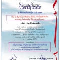 Powiększ obraz: certificate 10