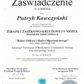 Powiększ obraz: certificate 7