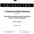 Powiększ obraz: certificate 2