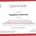 Powiększ obraz: certificate 5