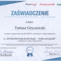 Powiększ obraz: certificate 11