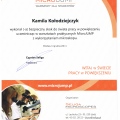 Powiększ obraz: certificate 11
