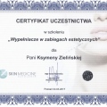 Powiększ obraz: certificate 11