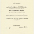 Powiększ obraz: certificate 6