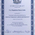 Powiększ obraz: certificate 31