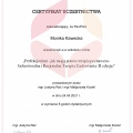 Powiększ obraz: certificate 22