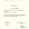 Powiększ obraz: certificate 9