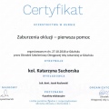 Powiększ obraz: certificate 24