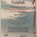 Powiększ obraz: certificate 2