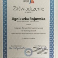 Powiększ obraz: certificate 15