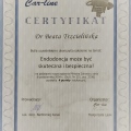 Powiększ obraz: certificate 1