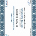 Powiększ obraz: certificate 2